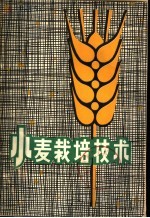 小麦栽培<em>技术</em>
