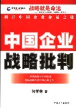 中国企业战略批判  一部系统揭示中国企业所犯战略性错误的经典之作
