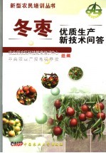冬枣优质<em>生产</em><em>新<em>技术</em></em>问答