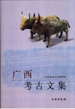 <em>广西</em>考古文集