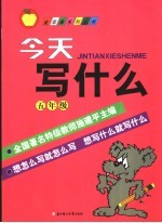 今天写什么  五年级  上