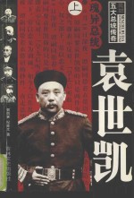 瑰异总统：袁世凯
