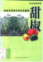 农业专家系统  病害及营养诊断彩色图谱  甜椒