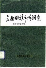云南回族乡情调查  现状与发展研究