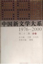 中国新文学大系  1976-2000  第22集  诗卷