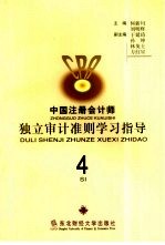 中国注册会计师独立审计准则学习指导  4