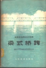 梁式桥跨  铁路结构物<em>设计</em>算例