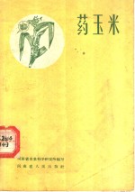 药玉米