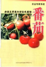 农业专家系统  病害及营养诊断彩色图谱  番茄