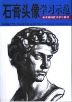 美术基础技法学习教材  石膏头像学习示范