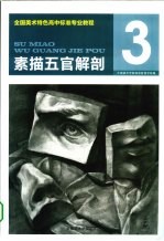 素描五官解剖  全国美术特色高中标准专业教程