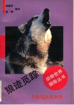 狼迹觅踪