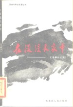 在漫漫长夜中  张瑞麟回忆录
