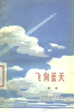<em>飞向</em>蓝天