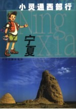小灵通西部行  宁夏