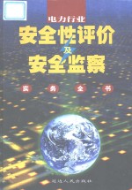 电力行业安全性评价及安全监察实务全书  第2卷