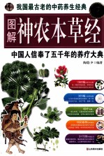 图解神农本草经  中国人信奉了五千年的养疗大典  超值白金版