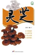 十大名中药丛书  灵芝