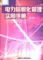<em>电力</em>信息化管理<em>实用</em>手册  第2卷