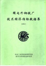 国内外钢铁厂技术经济指标数据集  2001