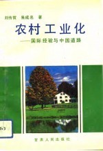 农村工业化  国际经验与中国道路