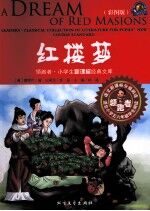 红楼梦  彩图版