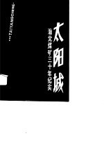 太阳城  淮北煤矿三十年纪实