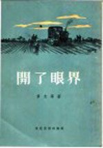 开了<em>眼界</em>  短篇小说选集
