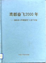 鸢都奋飞<em>2000</em>年  潍坊市十年规划与“八五”计划