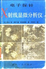 电子探针<em>X</em><em>射线</em>显微分析仪
