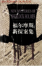 福尔摩斯新探案集  4
