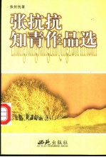 <em>张<em>抗抗</em></em>知青作品选