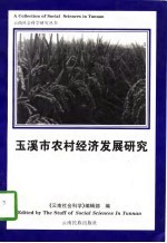 玉溪市农村<em>经济</em>发展研究