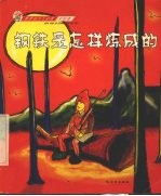 钢铁是怎样炼成的