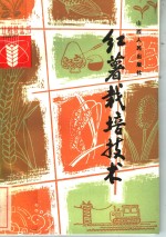 红薯栽培技术
