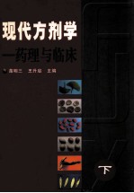 现代方剂学  药理与临床  下