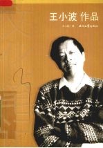 王<em>小波</em>作品  文化笔记