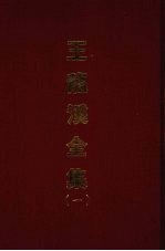 <em>王</em>龙溪全集  一