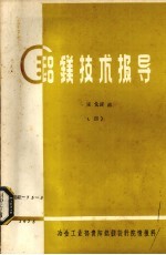 铝镁技术报导  管道化浸入  4