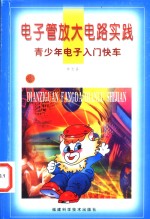 电子管放大电路实践