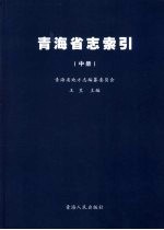 青海省志·索引  中