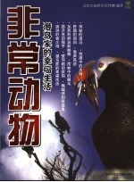 非常动物  潜鸟家的幸福生活