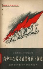 青少年在<em>劳动</em>者的红旗下前进