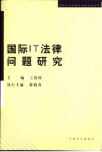 国际<em>IT</em>法律问题研究