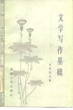 文学写作基础