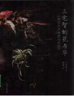 三宅智的花与华  插花艺术欣赏与实践