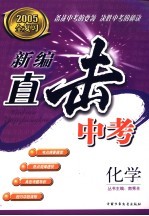 新编直击中考  化学