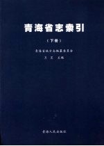 青海省志·索引  下