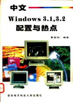 中文 Windows 3.1、3.2配置与热点
