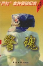 警魂  “严打”案件侦破纪实